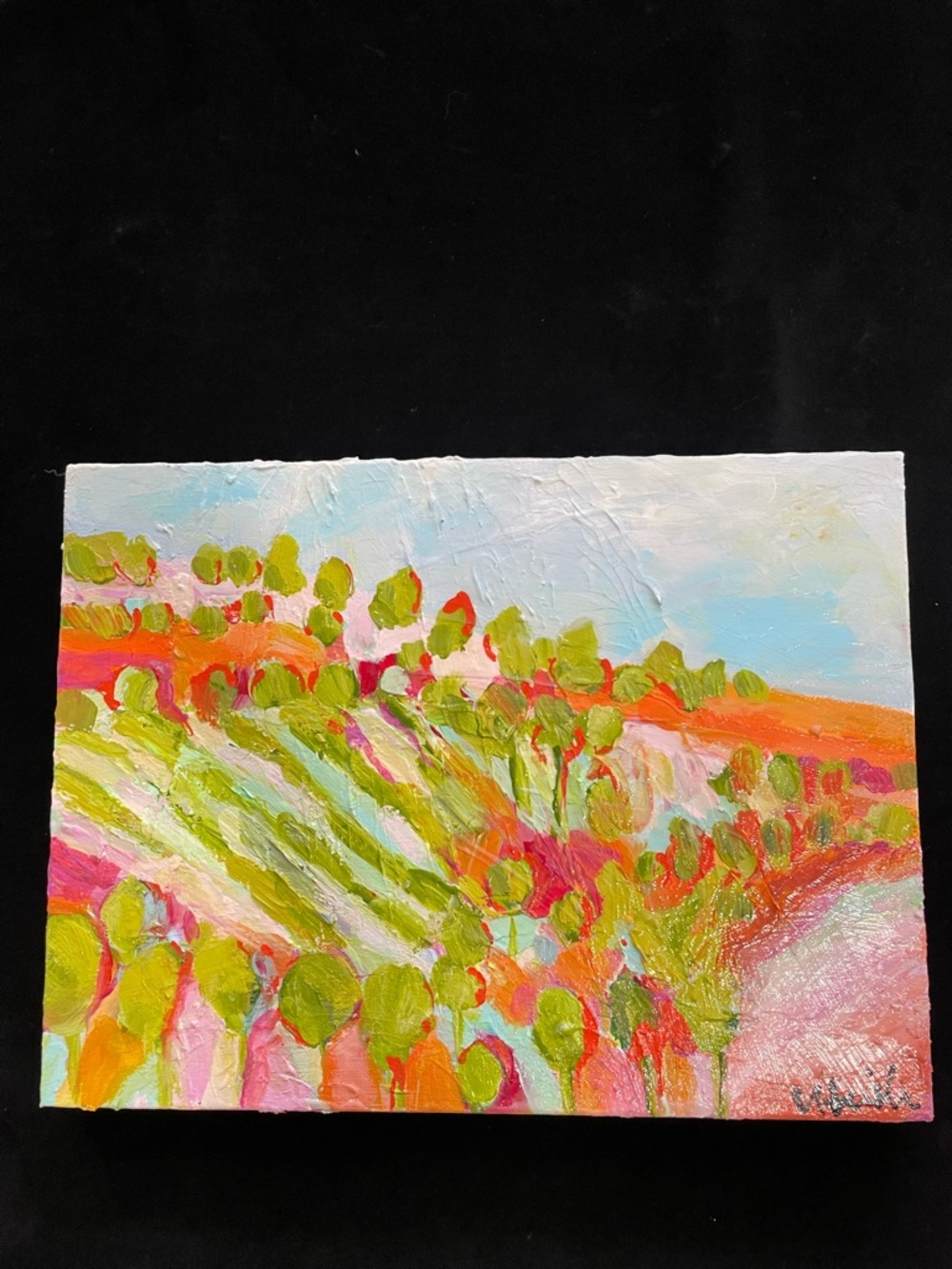 Southwest Hills ” Original Acrylic Painting 16”x12”x1.5” On Canvas Handmade